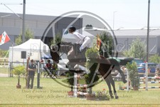 ref. photo 3683847