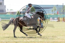 ref. photo 3683849