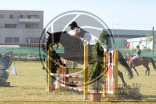 ref. photo 3683883