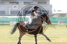 ref. photo 3683998