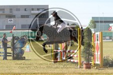ref. photo 3684004