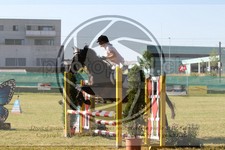 ref. photo 3684010