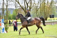 ref. photo 3101500