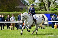 ref. photo 3101596