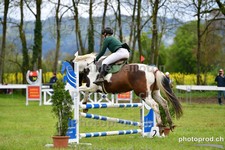 ref. photo 3101670