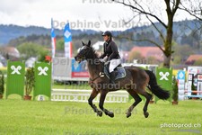 ref. photo 3101711