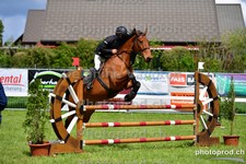 ref. photo 3101802
