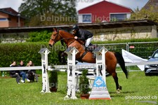 ref. photo 3101804