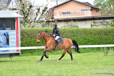 ref. photo 3101807