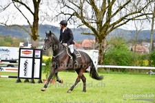 ref. photo 3101831