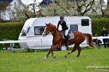 ref. photo 3101909