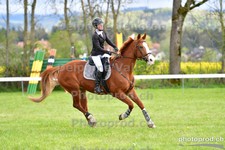 ref. photo 3101918