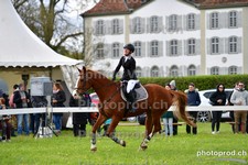 ref. photo 3101924