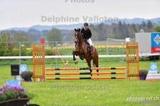 ref. photo 3102187