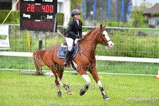 ref. photo 3102238