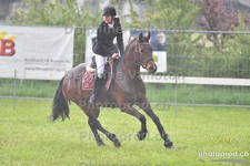 ref. photo 3102254