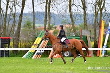 ref. photo 3102409