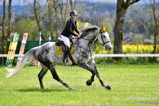ref. photo 3102574