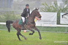 ref. photo 3102590