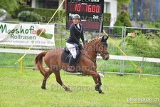 ref. photo 3102752