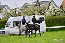 ref. photo 3102994