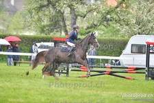 ref. photo 3103026