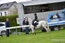 ref. photo 3103092