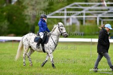 ref. photo 3103111