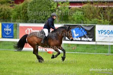 ref. photo 3103122