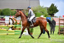 ref. photo 3103182