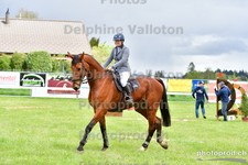ref. photo 3103196