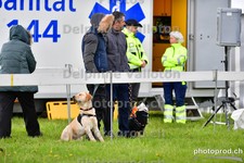 ref. photo 3103247