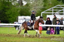 ref. photo 3103249