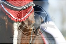 ref. photo 3578859