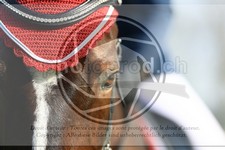 ref. photo 3578860