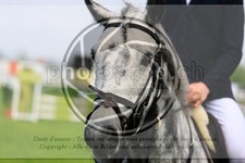 ref. photo 3579049
