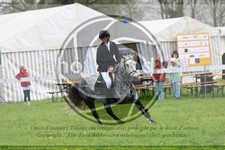 ref. photo 3579052