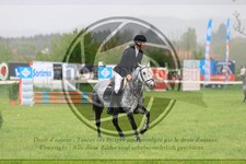 ref. photo 3579055