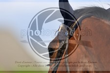 ref. photo 3579072