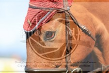 ref. photo 3579239
