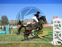 ref. photo 4029217