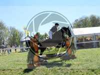 ref. photo 4029222