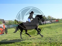 ref. photo 4029277