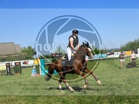 ref. photo 4029735