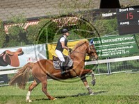 ref. photo 4029796