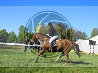 ref. photo 4029837