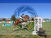 ref. photo 4029953