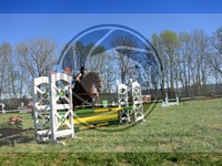 ref. photo 4029958