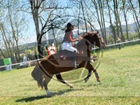 ref. photo 4030215