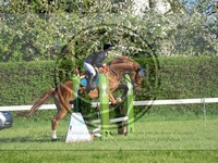 ref. photo 4030271